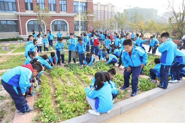 640.webp (21)_副本.jpg