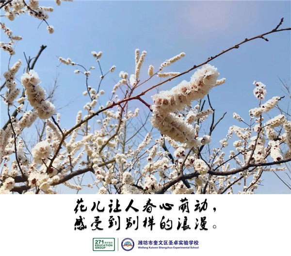 640.webp (2)_副本.jpg