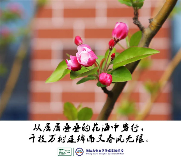 640.webp (4)_副本.jpg