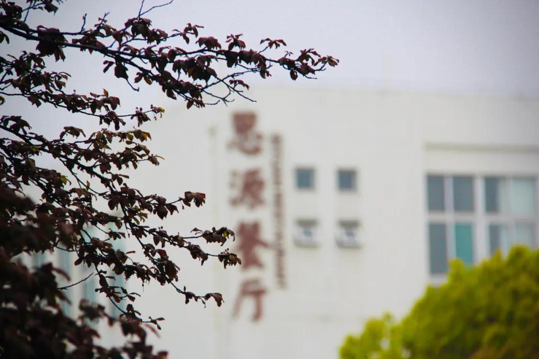 微信图片_20200401142418.jpg
