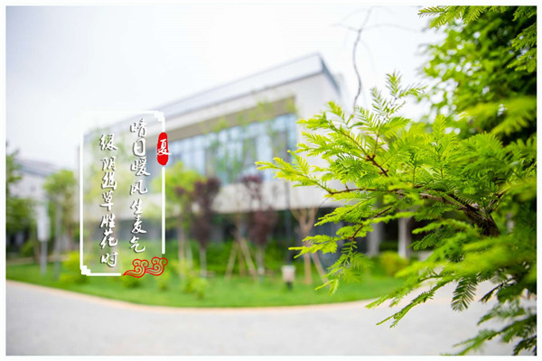 微信图片_20200525163201.jpg